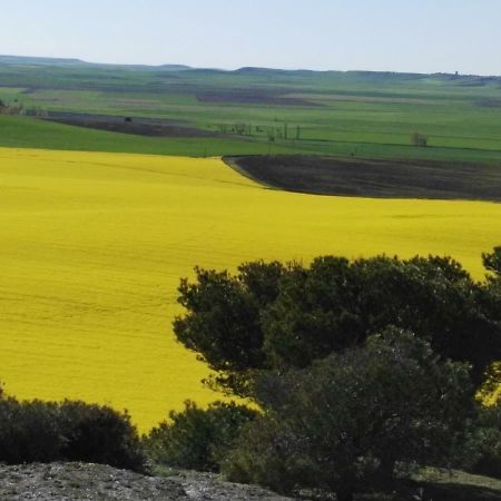 La Aldea Colorada Daire Mota del Marqués Dış mekan fotoğraf