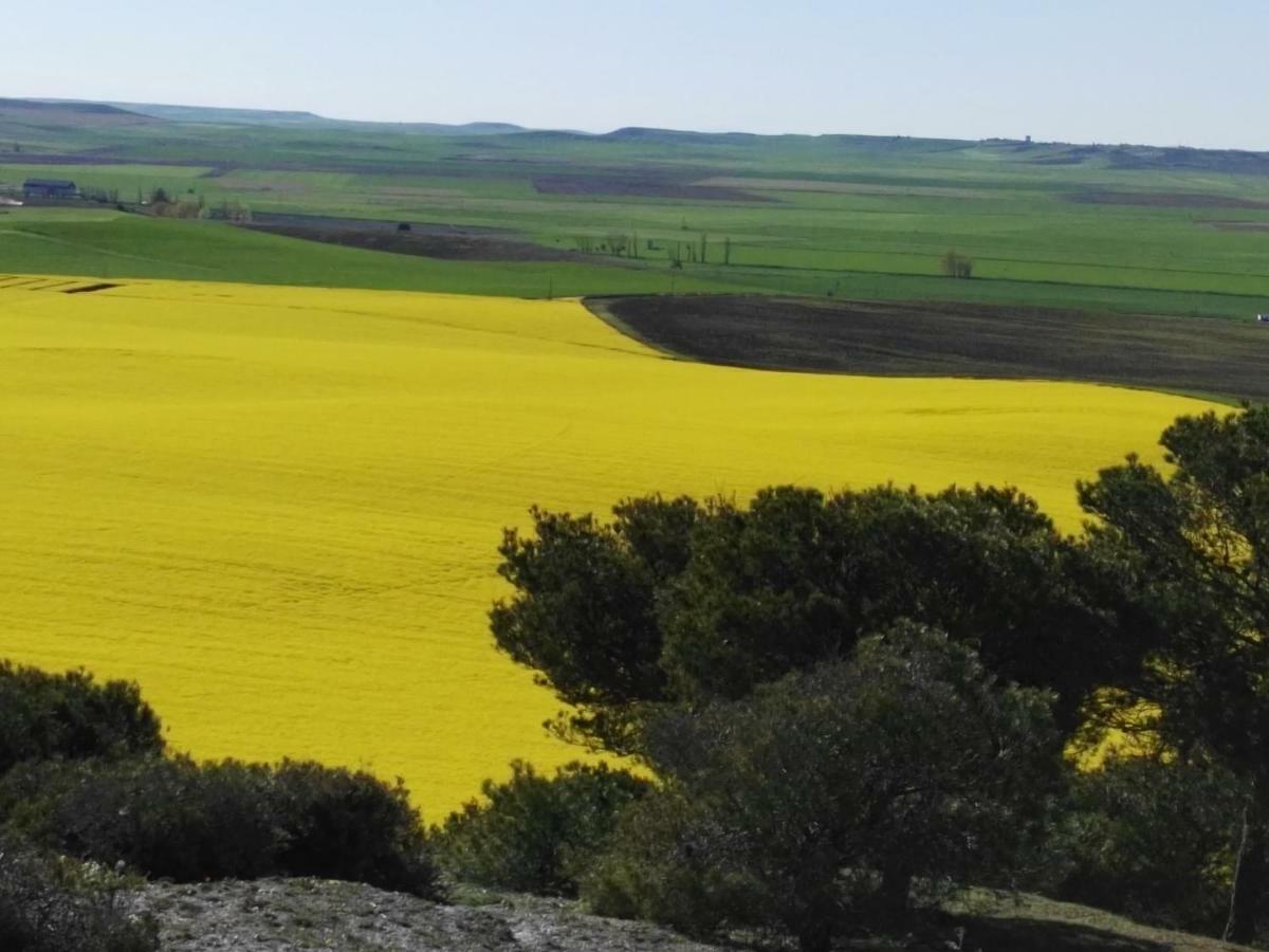 La Aldea Colorada Daire Mota del Marqués Dış mekan fotoğraf