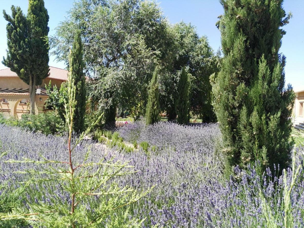 La Aldea Colorada Daire Mota del Marqués Dış mekan fotoğraf